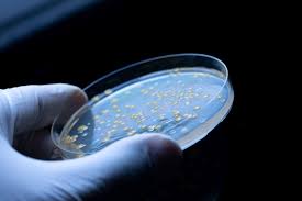 USP <61> Nonsterile Microbial Enumeration