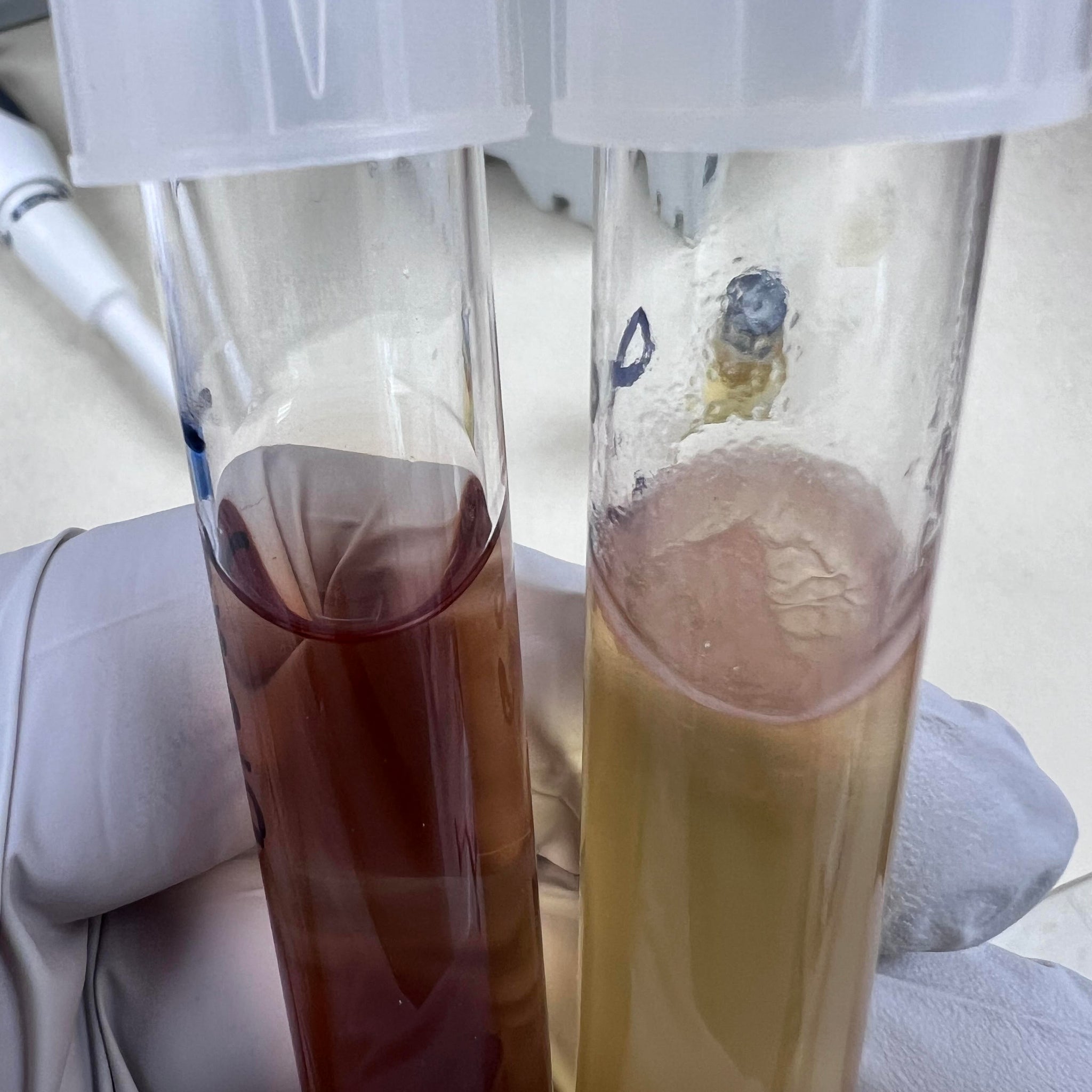 USP <71> Sterility Test